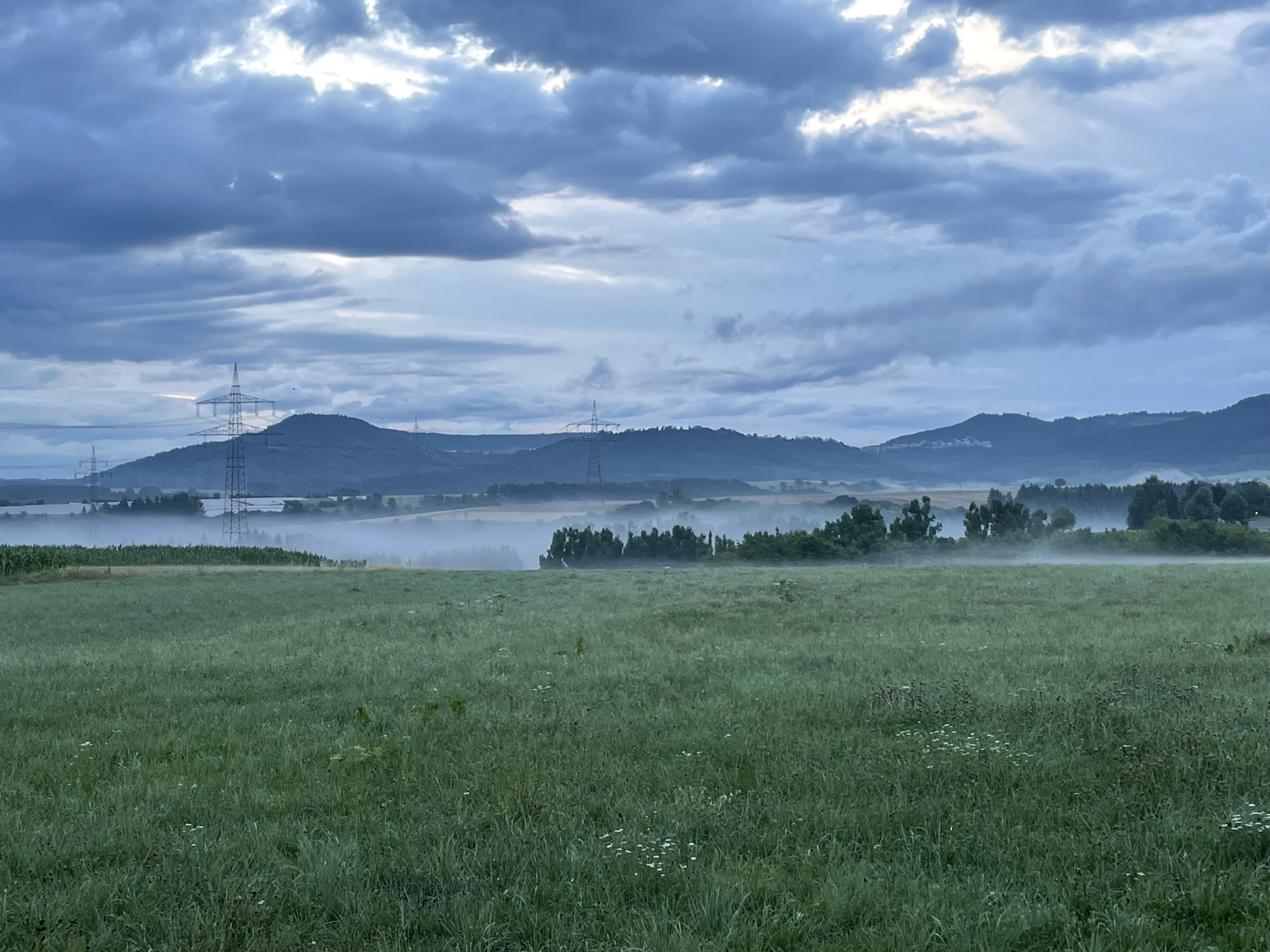 View at Lemberg / Gosheim