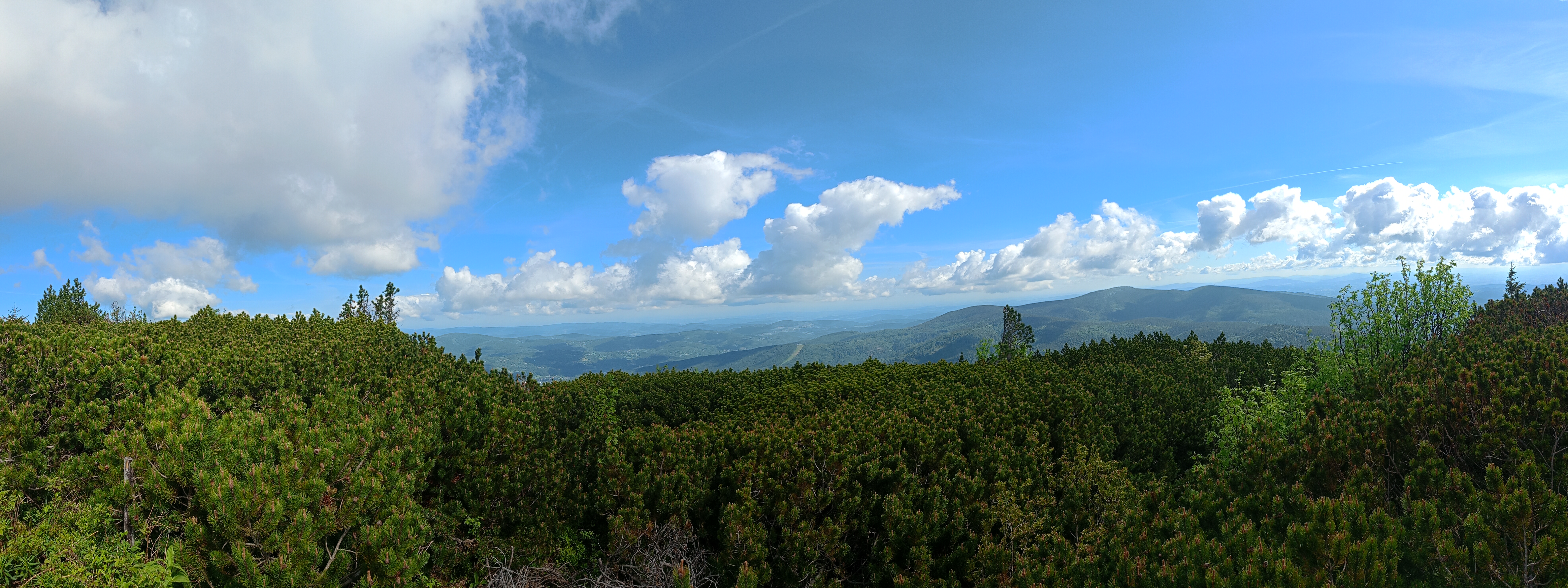 Panorama