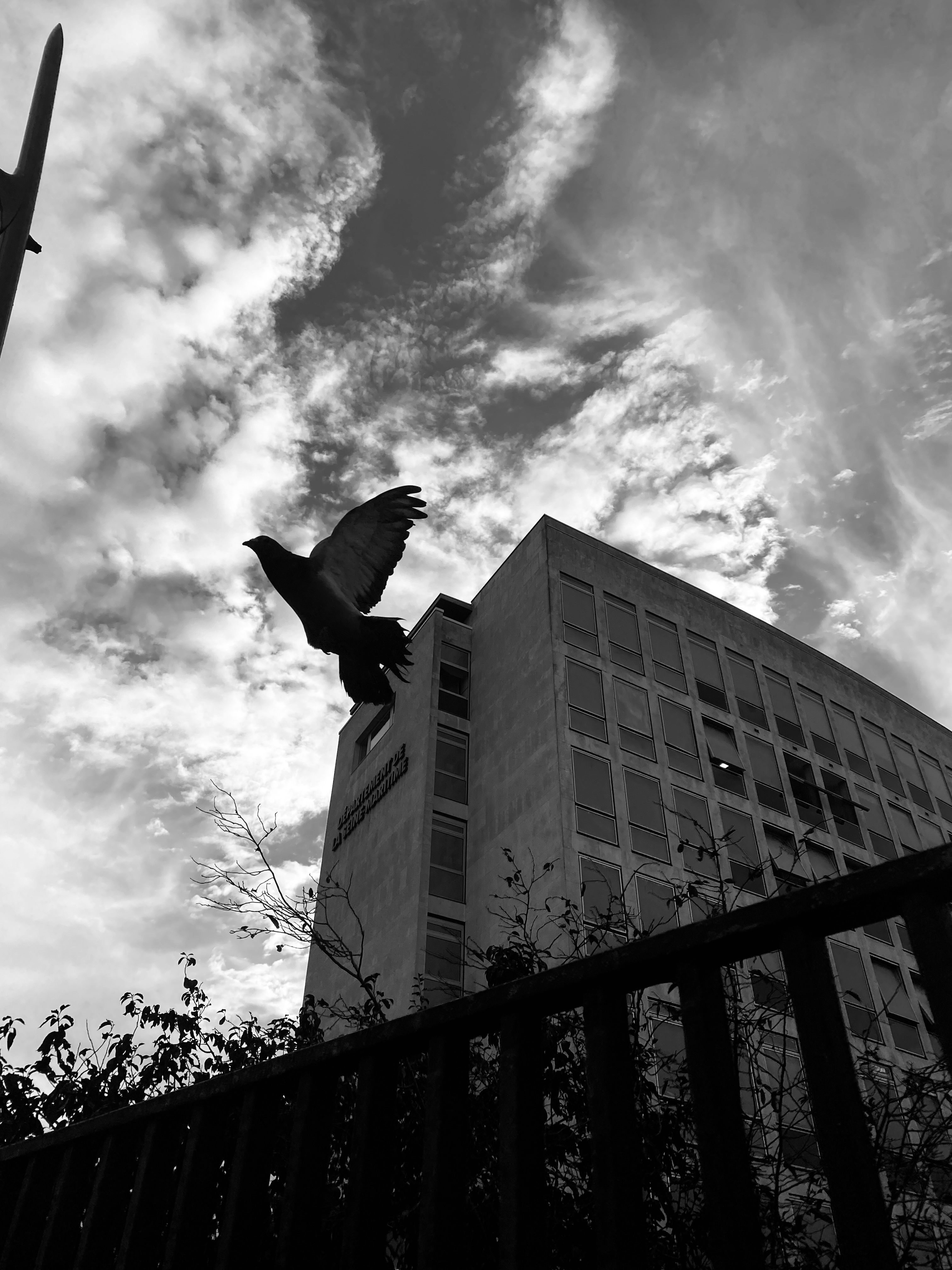 Skycapture