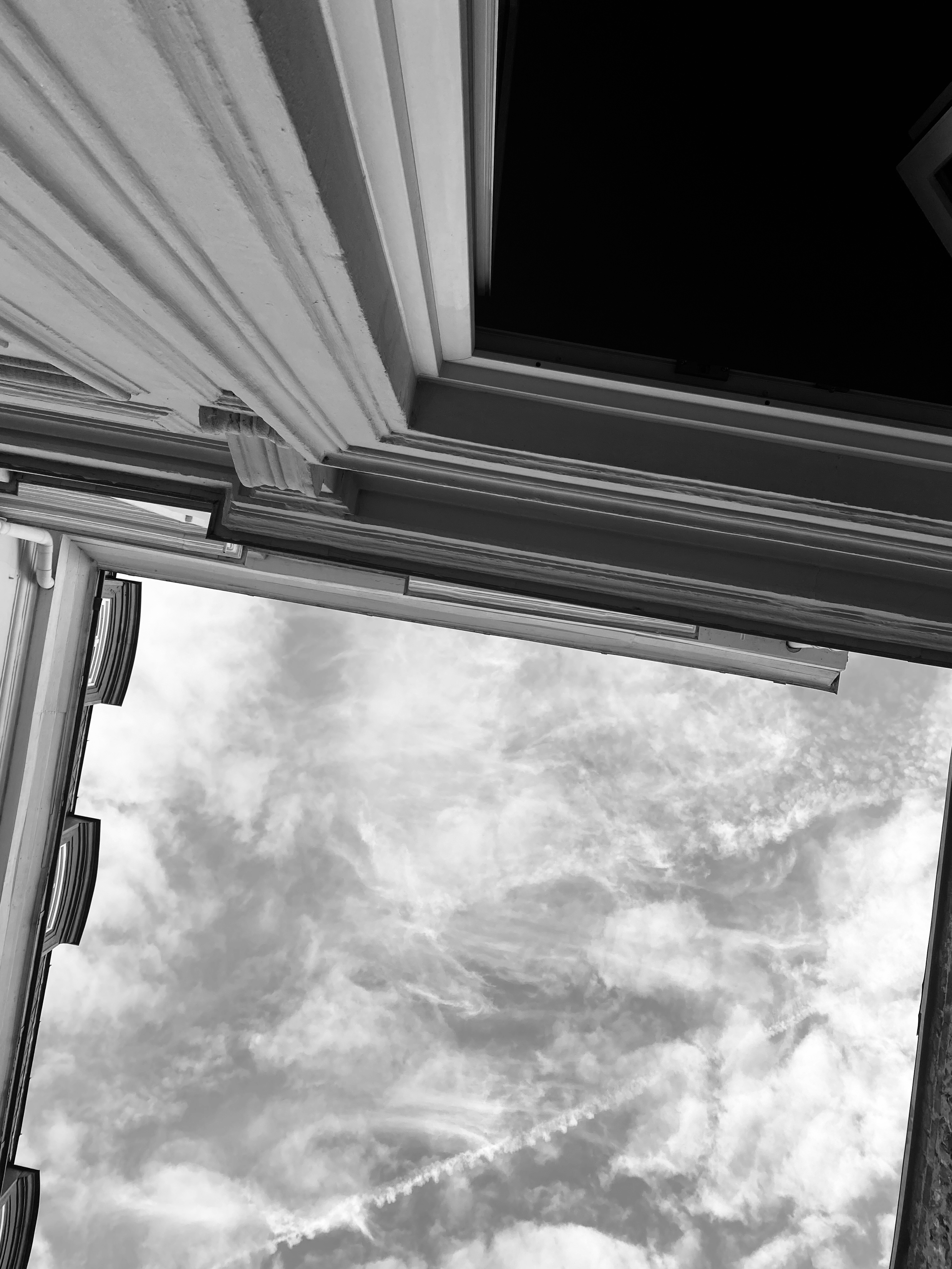 La vie en gris